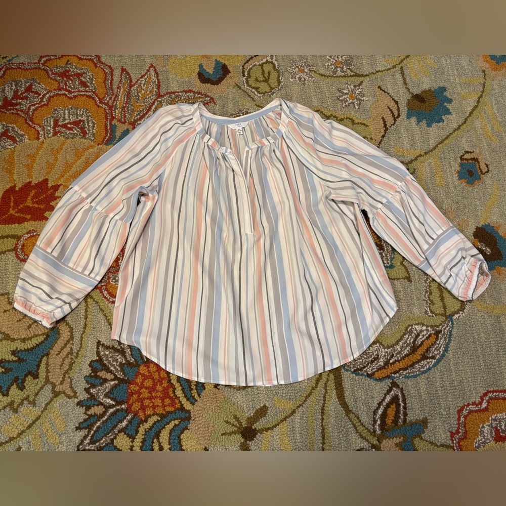 Time and Tru Pastel Striped Blouse